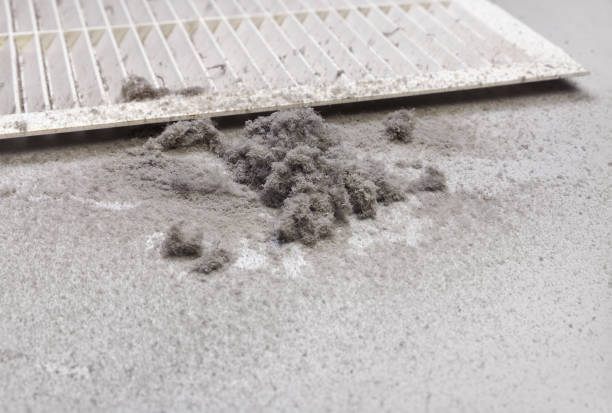 Best Air Duct Cleaning Near Me  in Arlington, TX