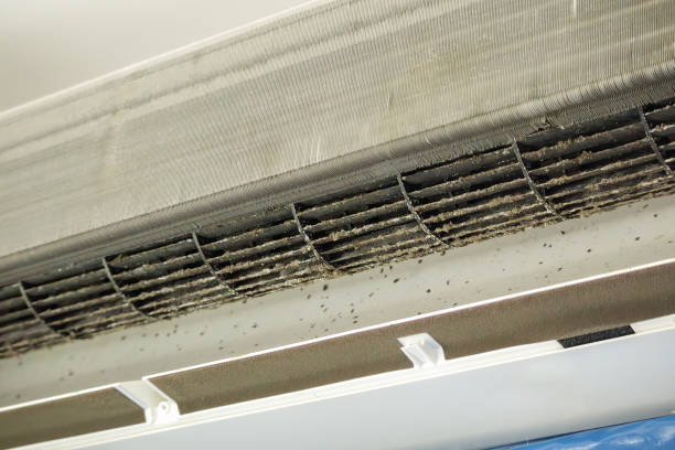 Best Professional Duct Cleaning Services  in Arlington, TX